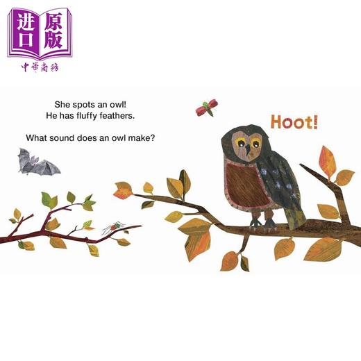 【中商原版】纸板书 非常忙碌的蜘蛛的森林朋友The Very Busy Spiders Forest Friends英文原版纸板书触摸书 进口童书认知识物 商品图2