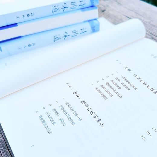 诗的味道（精讲唐宋十大诗人代表作，“长大后才明白，原来那首诗写的是我”） 商品图5