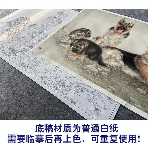 【大彩图】刘继彪横幅工笔画白描底稿《四犬》临摹勾线动物线稿GG04 商品图3