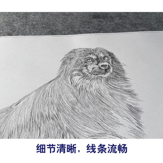【大彩图】刘继彪工笔画白描底稿《一只狗》临摹勾线动物线稿GG05 商品图4