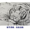 【大彩图】孟祥顺工笔画白描底稿《王者云游》老虎临摹勾线动物线稿A637 商品缩略图4