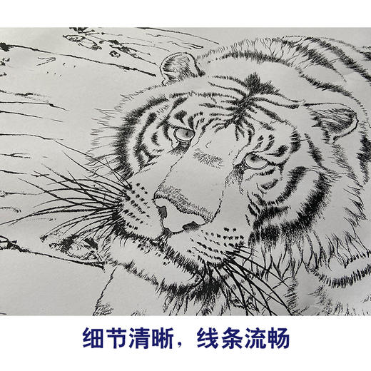 【大彩图】孟祥顺工笔画白描底稿《王者云游》老虎临摹勾线动物线稿A637 商品图4