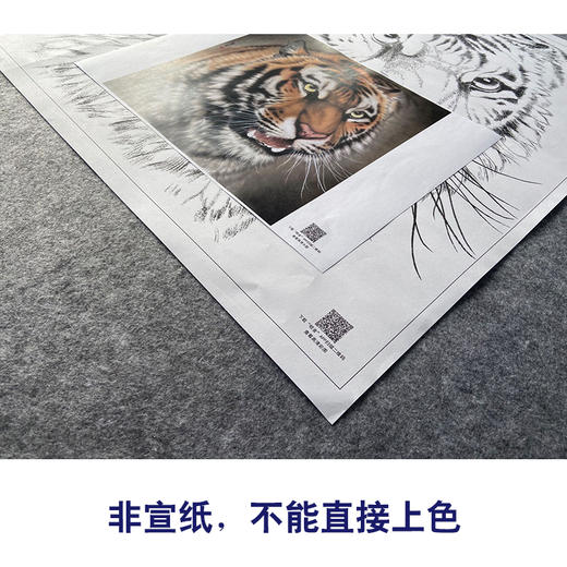 【大彩图】孟祥顺工笔画白描底稿斗方《老虎头》临摹勾线动物线稿A639 商品图2