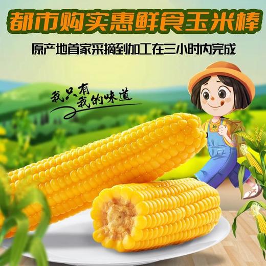 「自营」合升德品牌农业 小黄粘玉米棒 商品图0