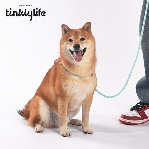 Tinklylife  专业训练牵引绳 商品图3