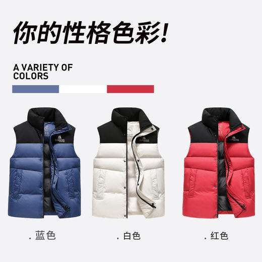 圣得西男装时尚拼色款立领羽绒背心2362943706 商品图3