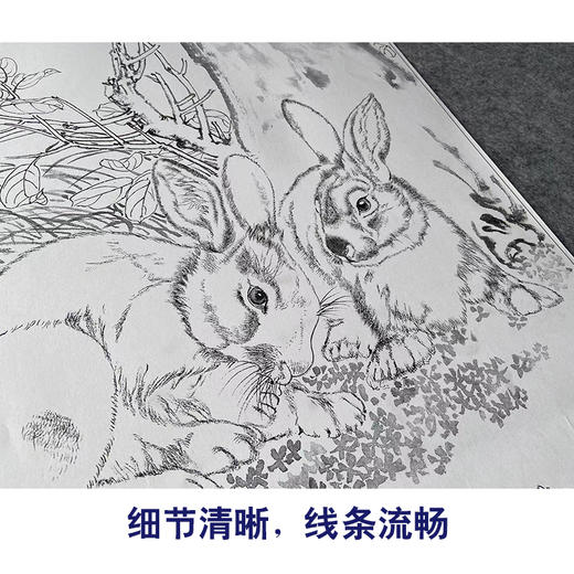 【大彩图】王生勈工笔画白描底稿《兔子》初学者临摹勾线动物线稿A653 商品图4