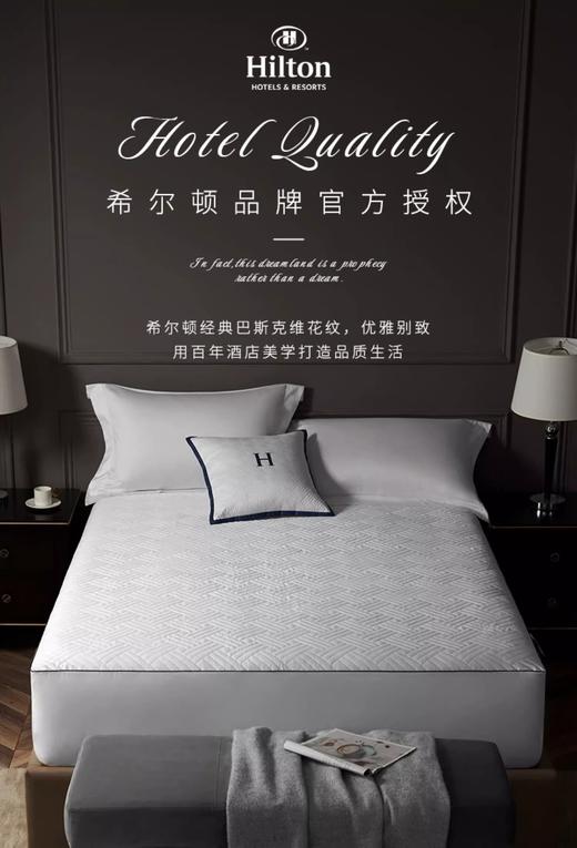 Hilton希尔顿床笠席梦思床垫保护罩全包防水床套床笠床罩保护套 商品图0