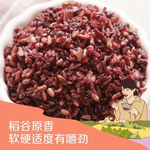 中粮初萃 全谷物五色糙米1kg（新旧包装随机发货） 商品图1