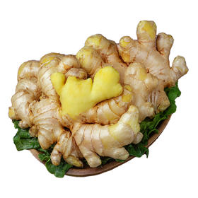 丨有机丨云南文山高山小黄姜 生姜 佰家珍品