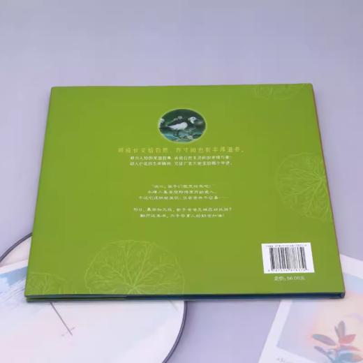 家园日记——我是超级奶爸适读年龄4-8岁 商品图2