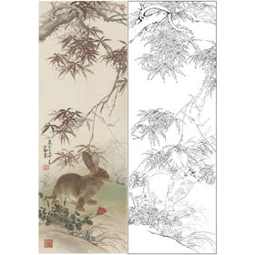 【大彩图】王生勈工笔画白描底稿《兔子》初学者临摹勾线动物底稿A651