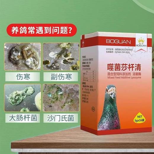 搏冠【噬菌莎杆清】5g*16袋 商品图0