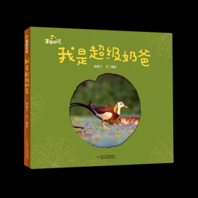 家园日记——我是超级奶爸适读年龄4-8岁