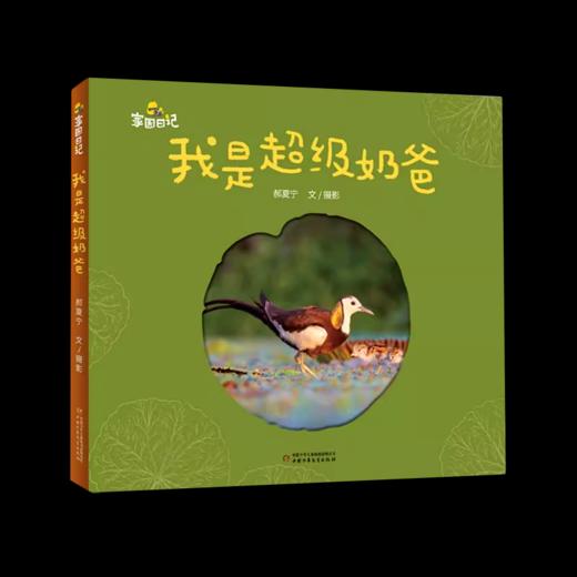 家园日记——我是超级奶爸适读年龄4-8岁 商品图0