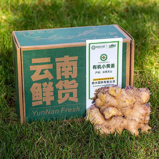 丨有机丨云南文山高山小黄姜 生姜 佰家珍品 商品图3