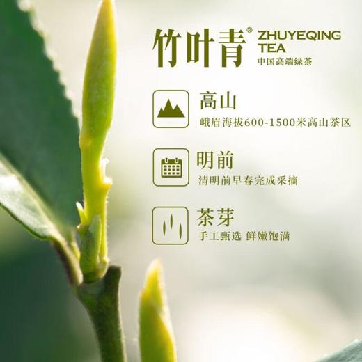 竹叶青品味绿茶 45g/袋 商品图3