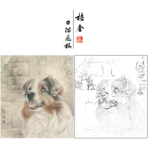 【大彩图】刘继彪工笔画白描底稿《单小狗》临摹勾线动物线稿GG08 商品图0
