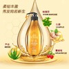 滋源生姜强根健发洗头水535ml 商品缩略图1