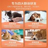 【补血肝精】蓝特斯甘血维猫咪狗狗术后营养补充保肝贫血60ml 商品缩略图4