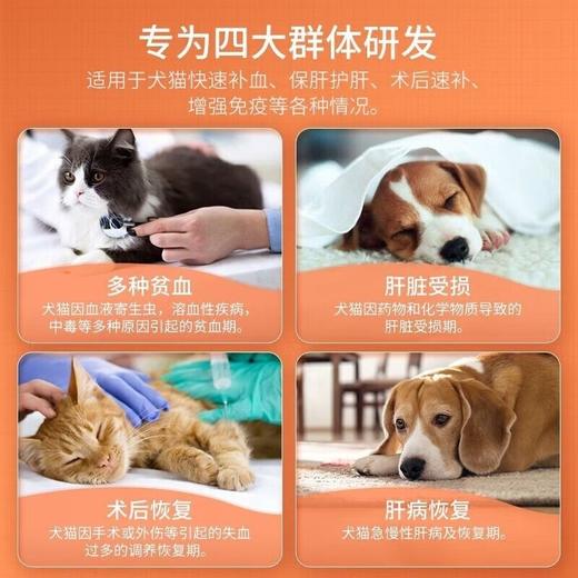 【补血肝精】蓝特斯甘血维猫咪狗狗术后营养补充保肝贫血60ml 商品图4