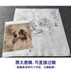 【大彩图】刘继彪工笔画白描底稿《单小狗》临摹勾线动物线稿GG08 商品缩略图1