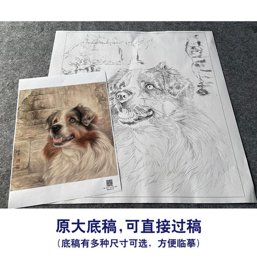 【大彩图】刘继彪工笔画白描底稿《单小狗》临摹勾线动物线稿GG08 商品图1