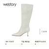 westory2023年秋季新品高跟鳄鱼纹牛皮尖头细高靴高跟女靴W23DQ83661 商品缩略图2