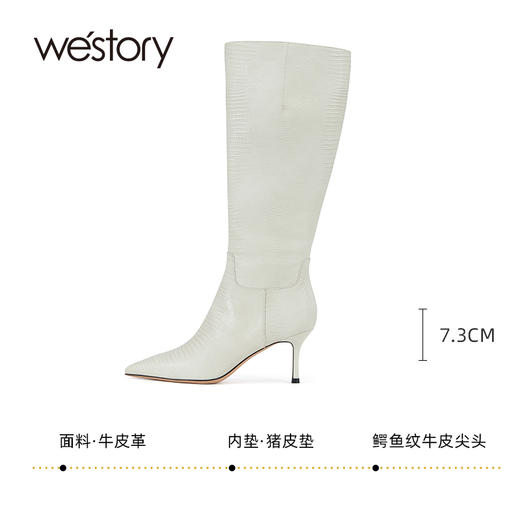 westory2023年秋季新品高跟鳄鱼纹牛皮尖头细高靴高跟女靴W23DQ83661 商品图2