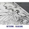 【大彩图】王生勈工笔画白描底稿《兔子》初学者临摹勾线动物线稿A650 商品缩略图4