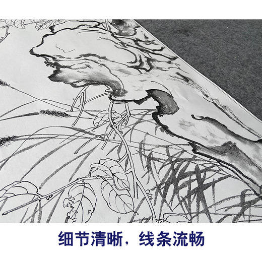 【大彩图】王生勈工笔画白描底稿《兔子》初学者临摹勾线动物线稿A650 商品图4