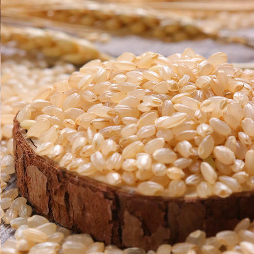 河谷上方 糙米500g*5袋 商品图1