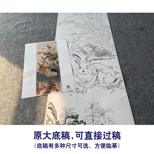 【大彩图】王生勈工笔画白描底稿《兔子》初学者临摹勾线动物线稿A652 商品图1