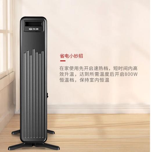 先锋电热油汀DYT-Z10（DS2163） 商品图0