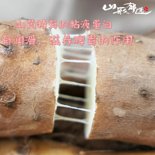 【山歌郁选】温县垆土地新鲜铁棍山药 | 50#礼盒送礼 香甜面糯2500g/箱 商品图3