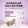 【新升级】冠能幼猫粮牛初乳配方奶糕离乳孕期全价猫粮1.8kg 商品缩略图1