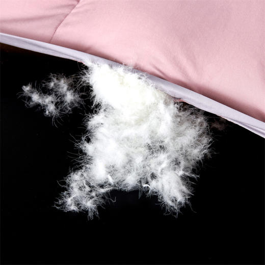 顶柔 云柔雁鸭绒羽绒被芯蓬松度850+（200*230cm）[福利品] 商品图9