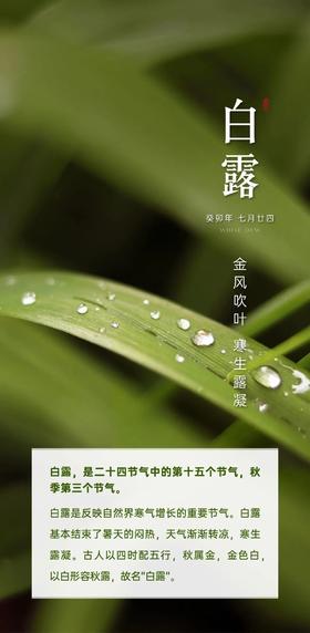 节令养生——白露