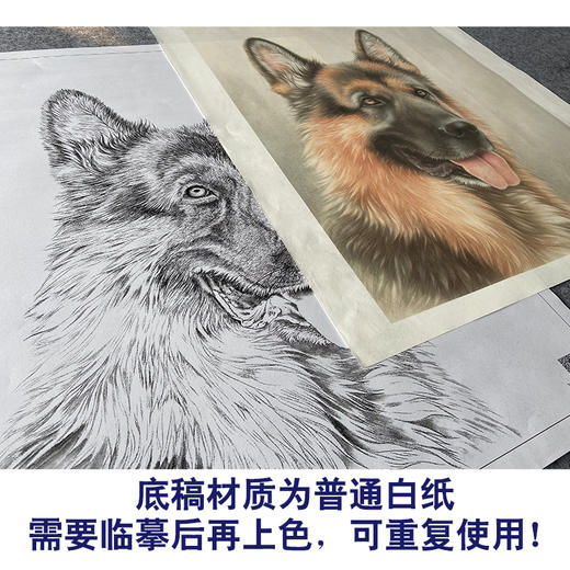 【大彩图】刘继彪工笔画白描底稿《狼狗》临摹勾线动物线稿GG07 商品图3