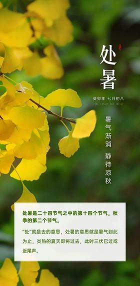 节令养生——处暑