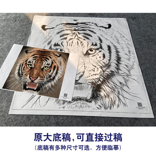 【大彩图】孟祥顺工笔画白描底稿斗方《老虎头》临摹勾线动物线稿A638 商品图1