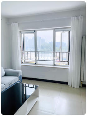 新租房装饰必备金蝉窗纱💎