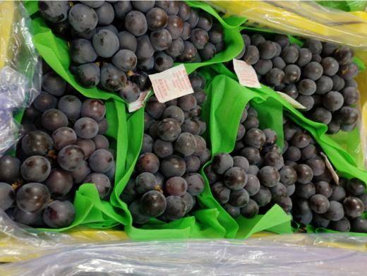 巨峰葡萄一箱 商品图0