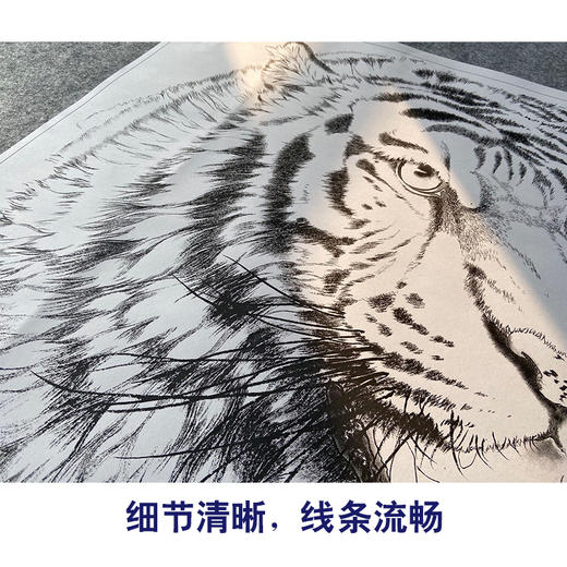 【大彩图】孟祥顺工笔画白描底稿斗方《老虎头》临摹勾线动物线稿A639 商品图4