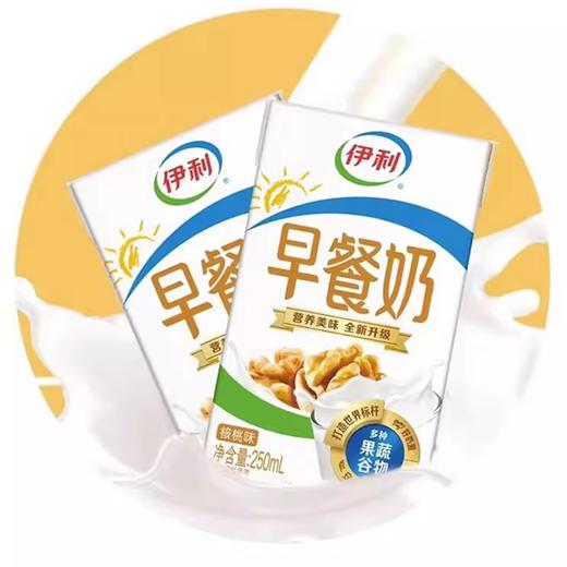 伊利早餐奶核桃味250ml*24瓶 商品图2