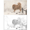 【大彩图】刘继彪工笔画白描底稿《藏獒》临摹勾线动物线稿GG09 商品缩略图0