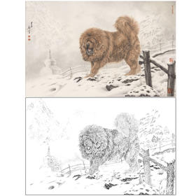 【大彩图】刘继彪工笔画白描底稿《藏獒》临摹勾线动物线稿GG09