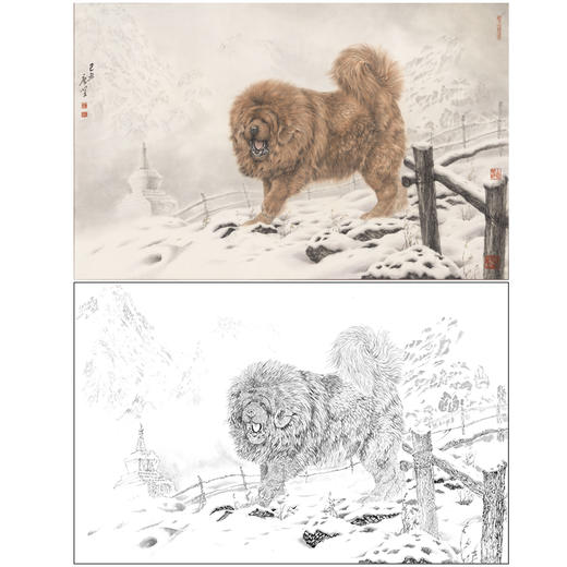 【大彩图】刘继彪工笔画白描底稿《藏獒》临摹勾线动物线稿GG09 商品图0