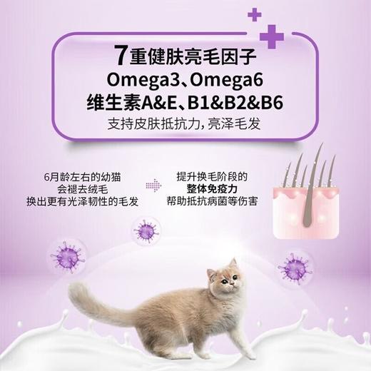 【新升级】冠能幼猫粮牛初乳配方奶糕离乳孕期全价猫粮1.8kg 商品图3