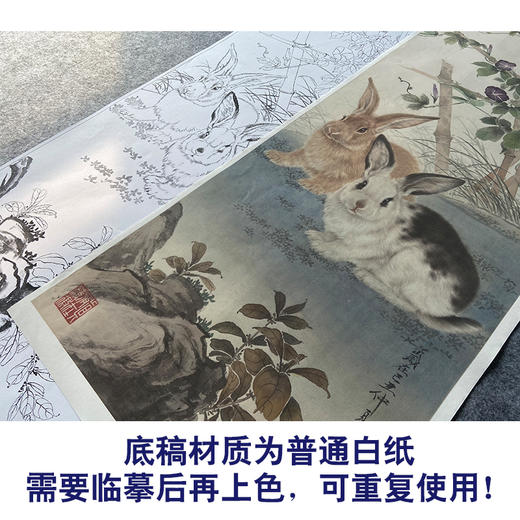 【大彩图】王生勈工笔画白描底稿《兔子》初学者临摹勾线动物线稿A652 商品图3
